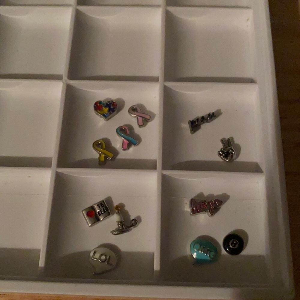 Origami owl charms